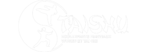 kung-fu, wushu, sanda, boxe, art martial, arts martiaux, chinois, chine