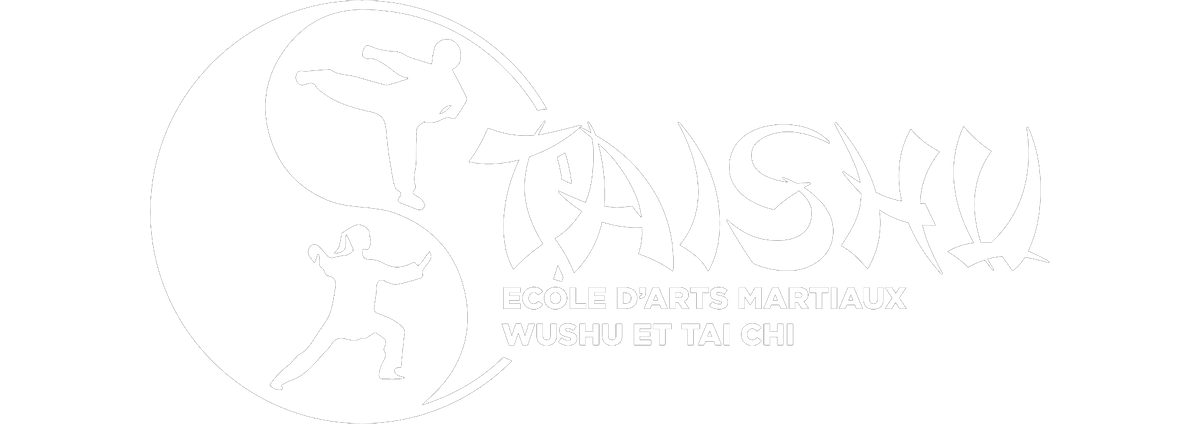 kung-fu, wushu, sanda, boxe, art martial, arts martiaux, chinois, chine